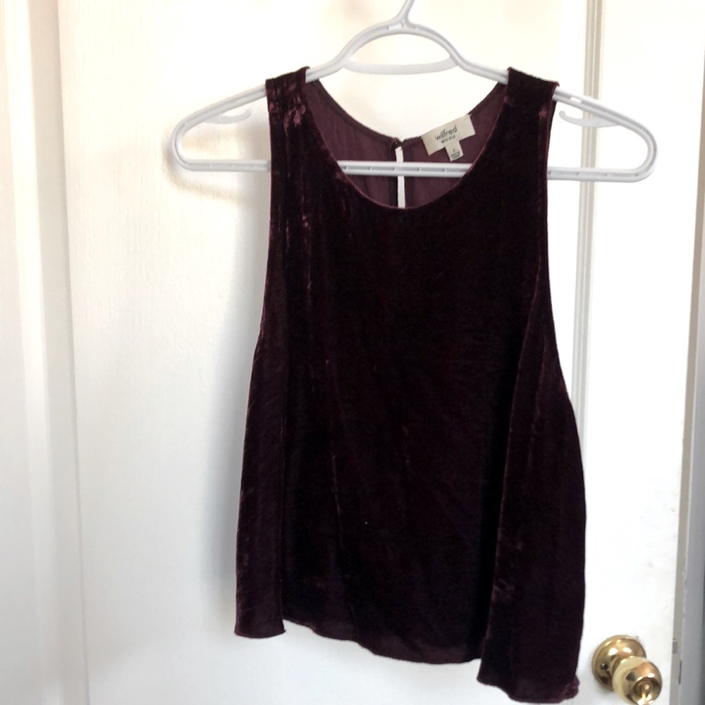 Aritzia Wilfred velvet crop